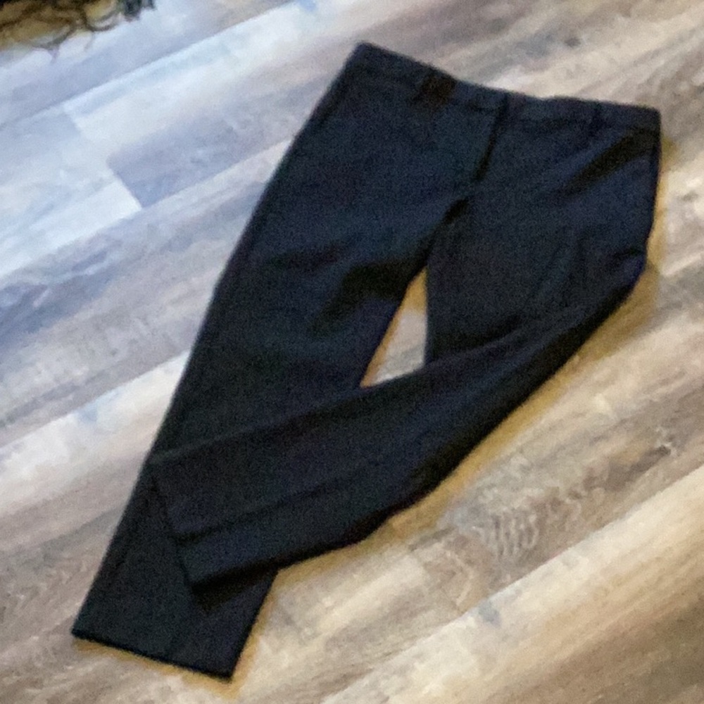 Elegant Ann Taylor Pants